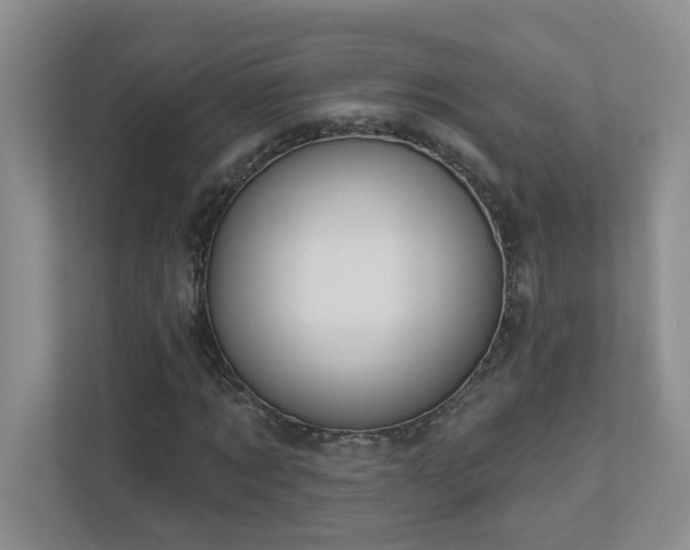 X0000112910869200908241204