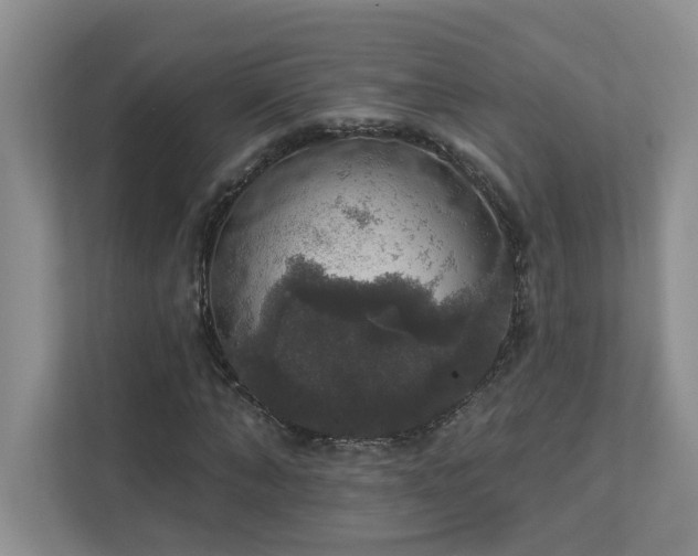 X0000112910870200908241204