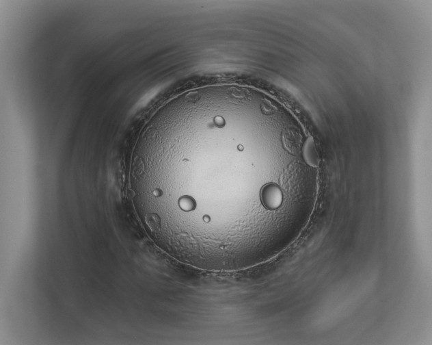 X0000112910871200908241204