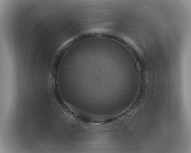 X0000112910872200908241204