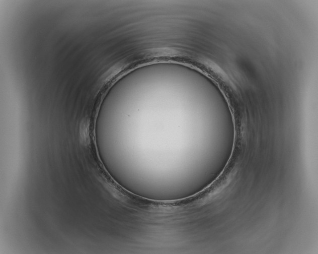 X0000112910873200908241204