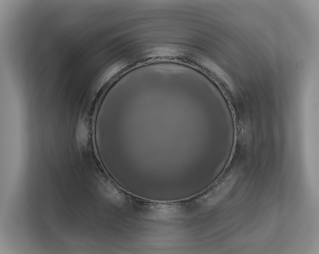 X0000112910874200908241204