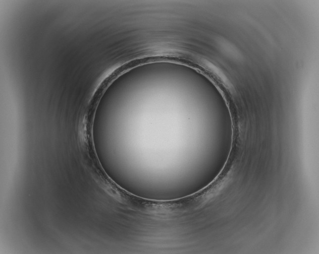 X0000112910875200908241204