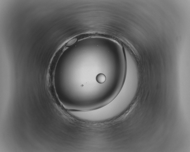 X0000112910876200908241204