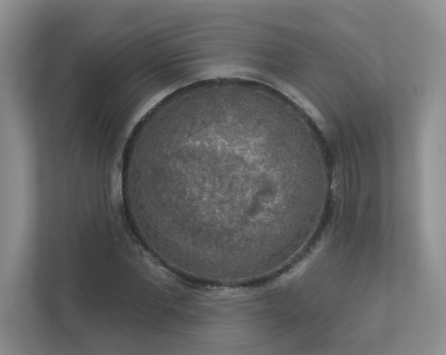 X0000112910877200908241204