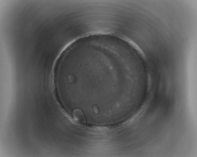 X0000112910878200908241204