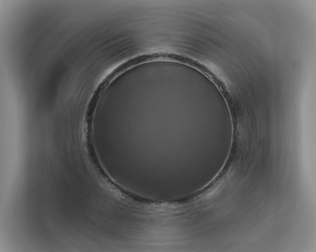 X0000112910879200908241204