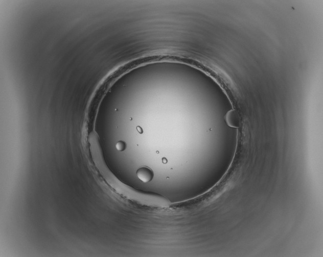 X0000112910880200908241204