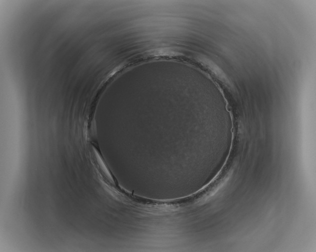 X0000112910881200908241204