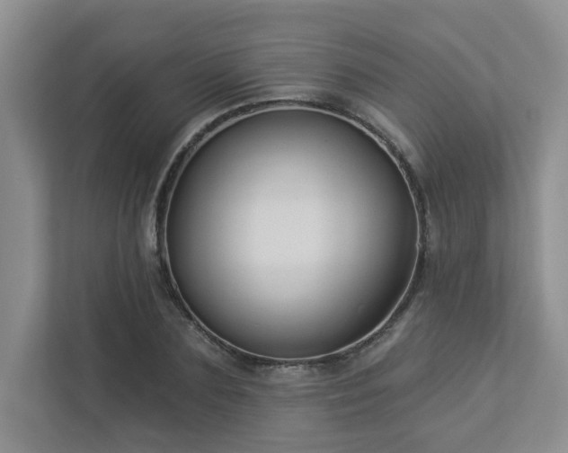 X0000112910883200908241204