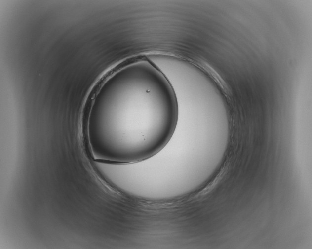 X0000112910884200908241204