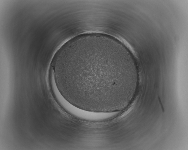 X0000112910885200908241204