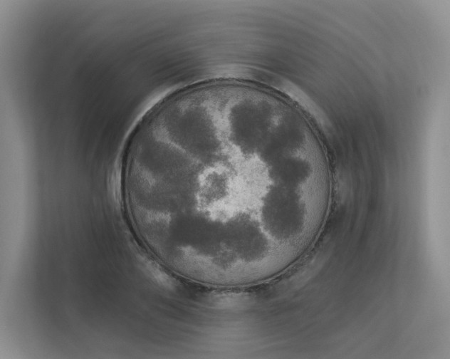 X0000112910886200908241204