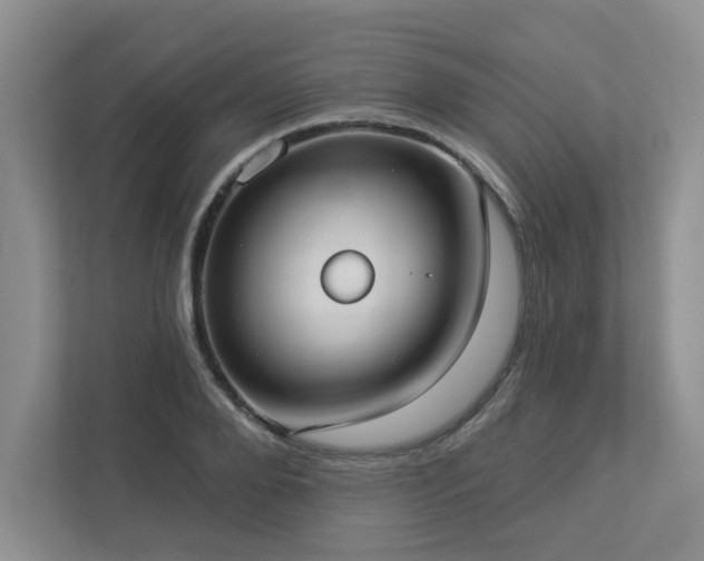 X0000112910888200908241204