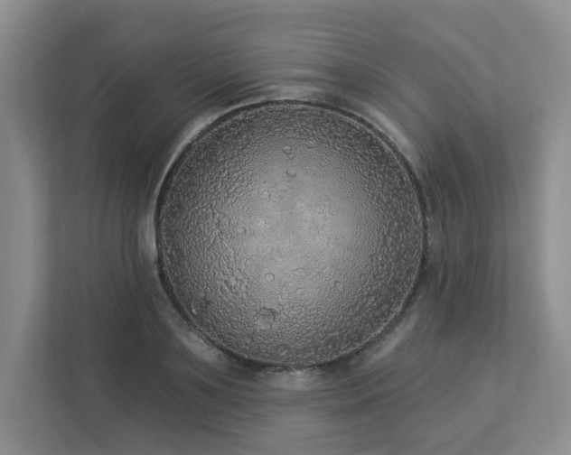 X0000112910891200908241204