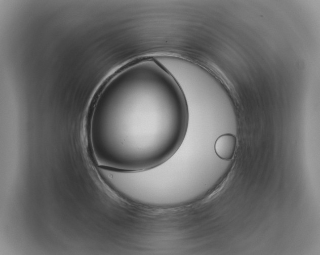 X0000112910892200908241204