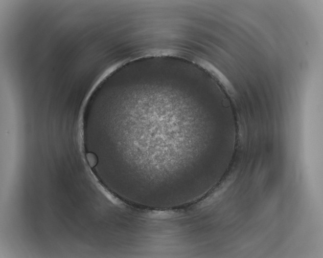 X0000112910894200908241204