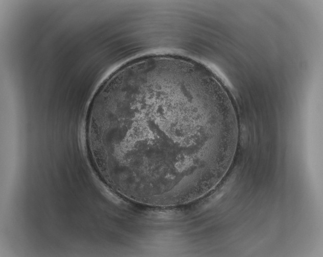 X0000112910895200908241204