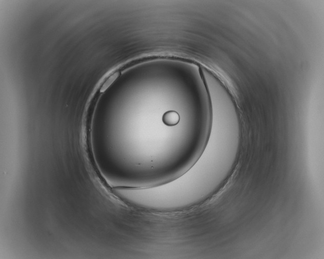 X0000112910896200908241204