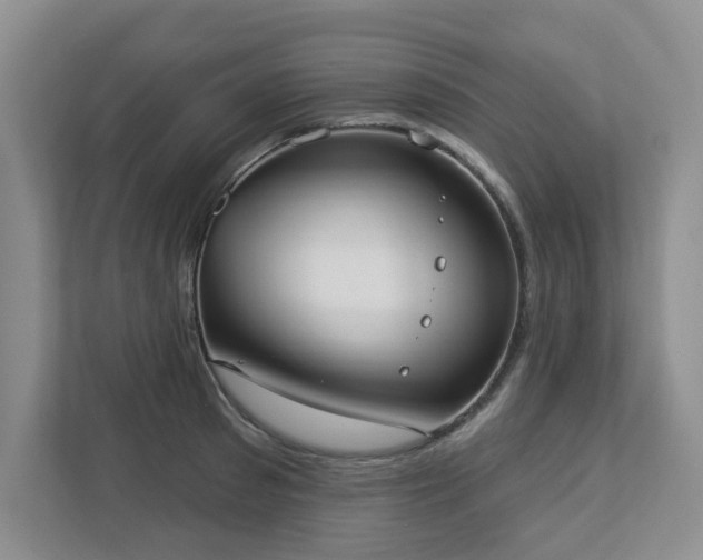 X0000112910897200908241204