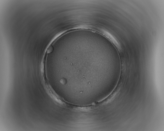 X0000112910900200908241203