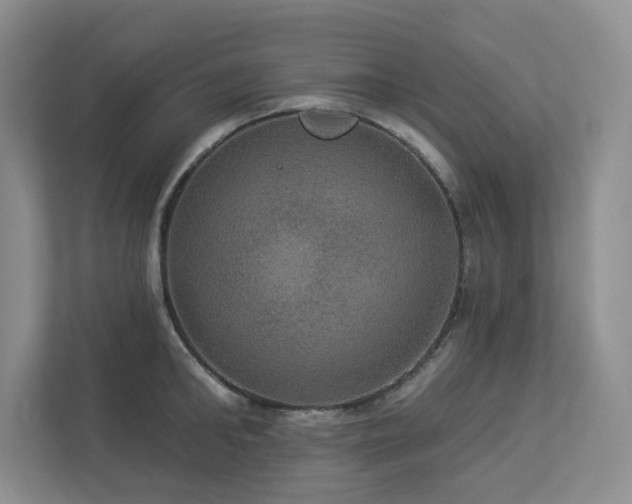 X0000112910902200908241203