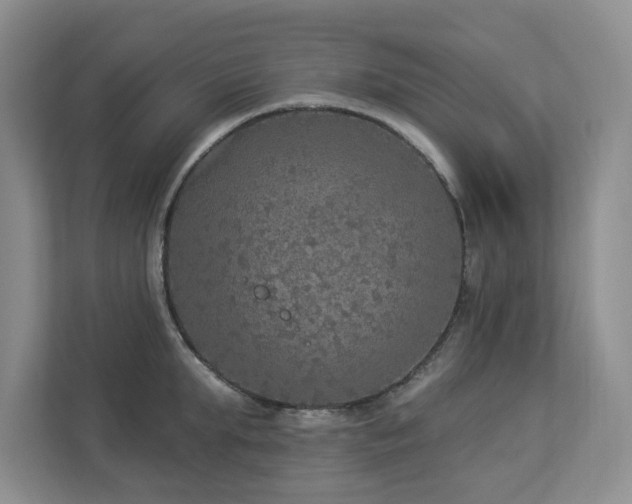 X0000112910903200908241203