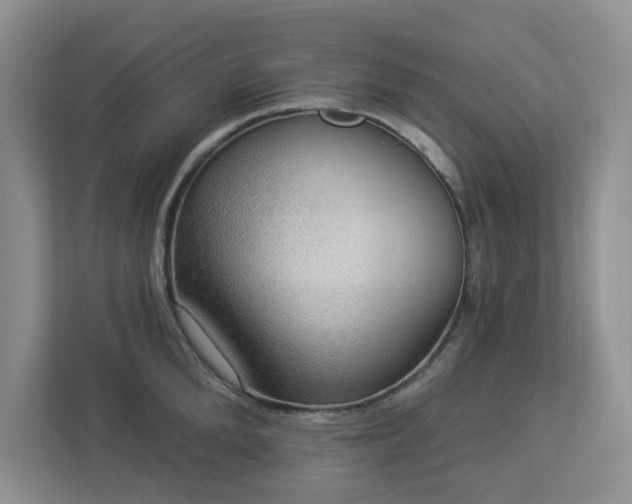 X0000112910904200908241203