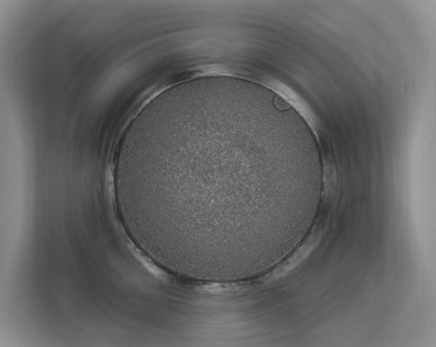 X0000112910906200908241203