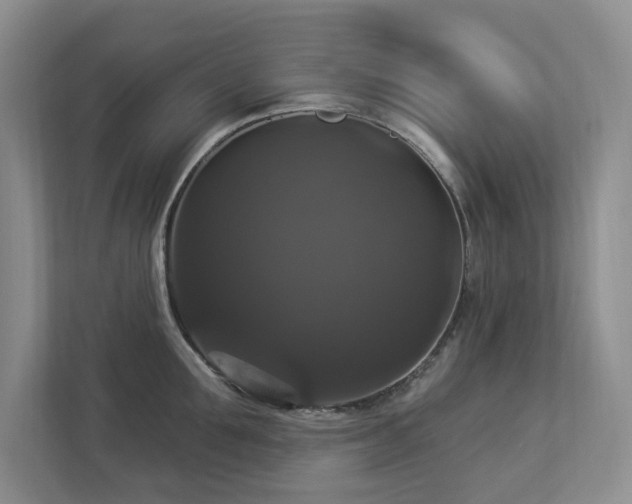 X0000112910907200908241203