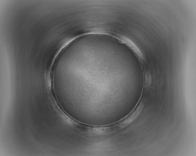 X0000112910908200908241203