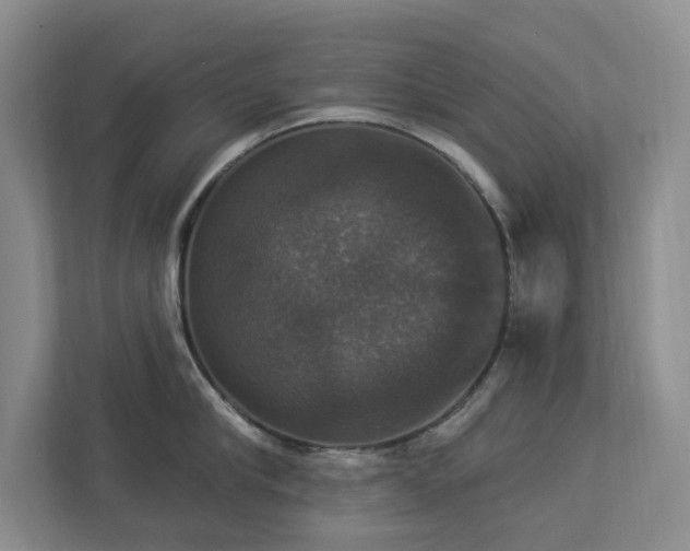 X0000112910910200908241203