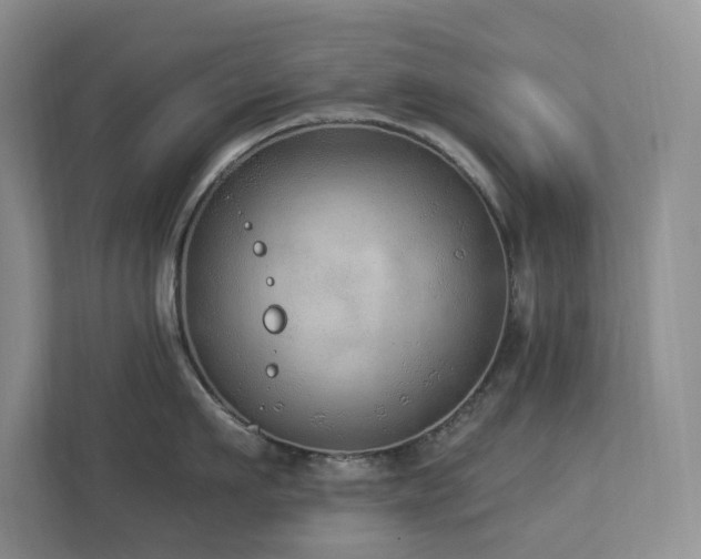 X0000112910911200908241203