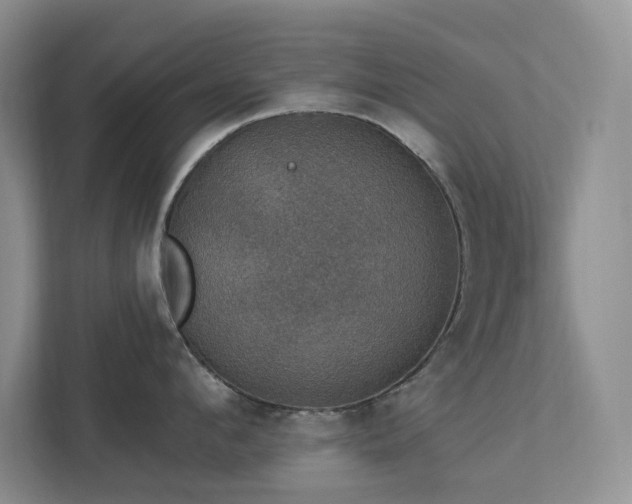 X0000112910912200908241203