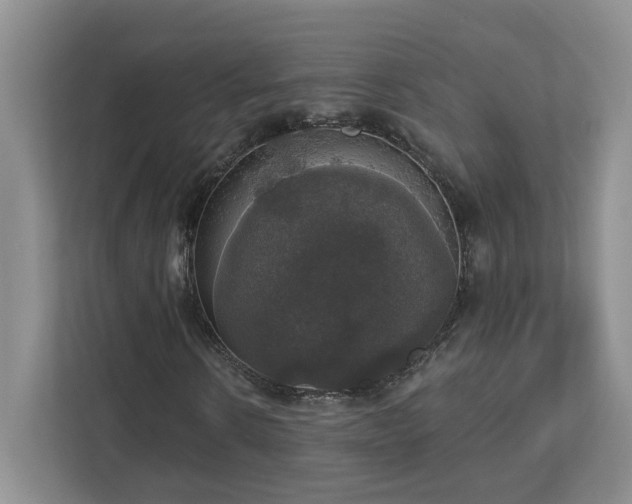 X0000112910914200908241203