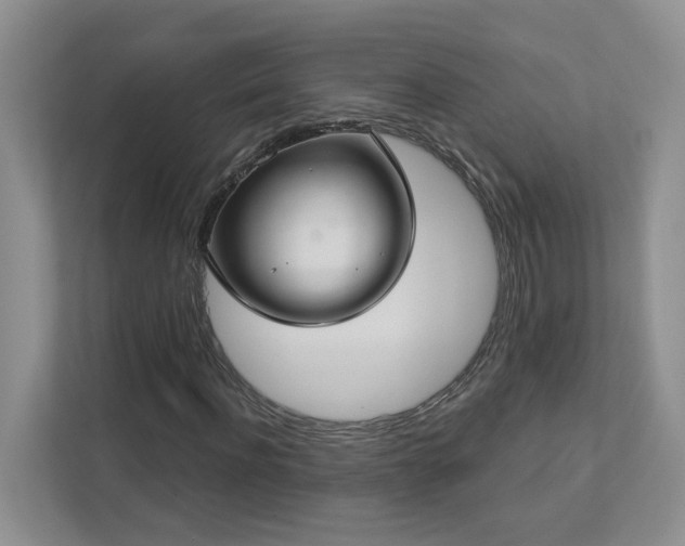 X0000112910916200908241203