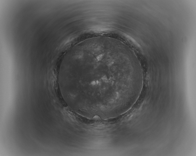 X0000112910917200908241203