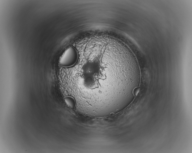 X0000112910918200908241203