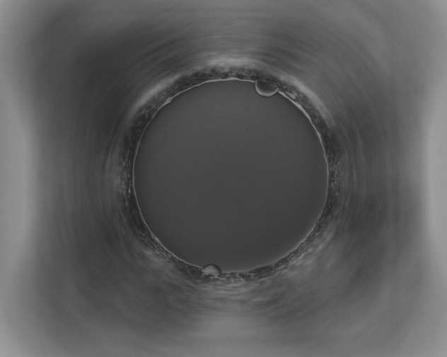 X0000112910919200908241203