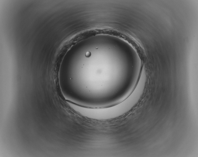 X0000112910920200908241203