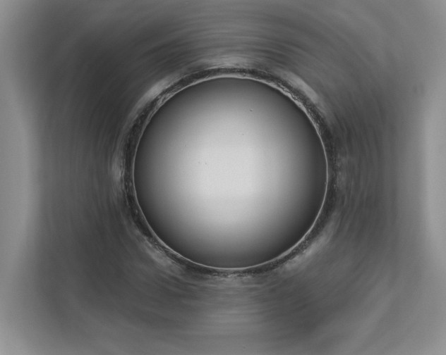 X0000112910922200908241203