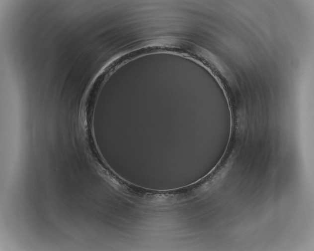 X0000112910923200908241203