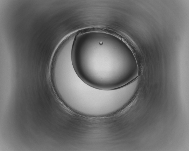 X0000112910924200908241203