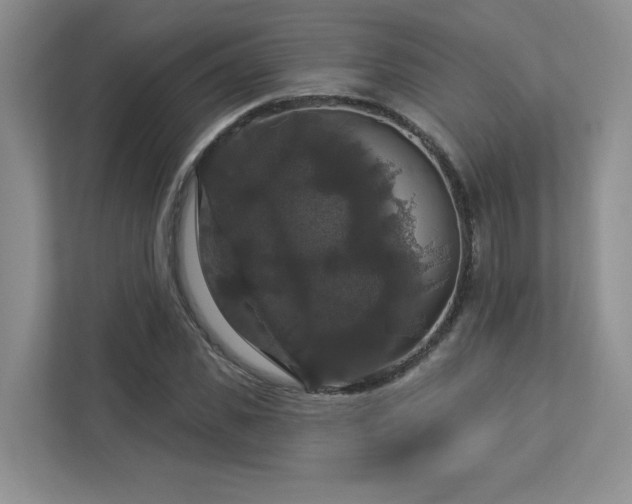 X0000112910925200908241203