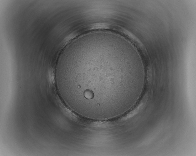 X0000112910929200908241203