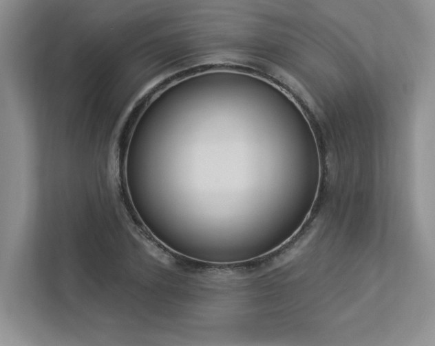 X0000112910931200908241203