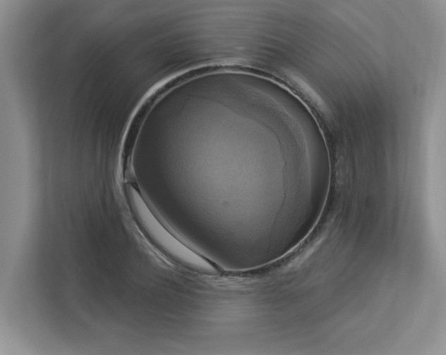 X0000112910932200908241203