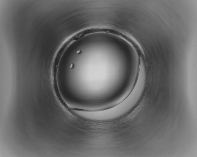 X0000112910935200908241203