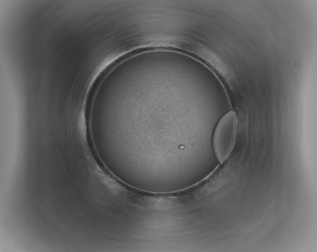 X0000112910936200908241203