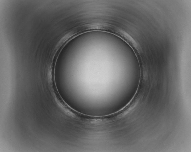 X0000112910938200908241203